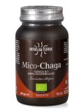 Mico-Chaga