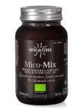 Mico-Mix - Integratore di Shiitake, Maitake e Reishi in Capsule