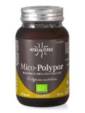 Mico-Polypor