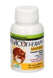 Micotherapy - Maitake