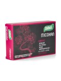 Micoxan Fibroart