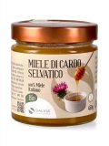 Miele di Cardo Selvatico