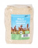 Miglio Selvatico Marrone