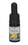 Mimulus - Soluzione Madre