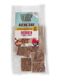 Mini Barrette di Avena con Frutti Rossi - Avena Bar Golden Yooga
