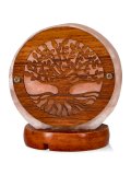 Mini Lampada di Sale Rosa Himalayano USB