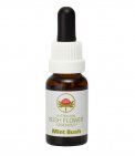 Mint Bush - Fiori australiani - 15 ml