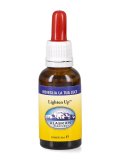 Miscela Lighten Up™ "Risveglia la tua Luce"