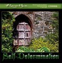 Mp3 - Auto - Determinazione — mp3