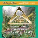 Mp3 - I Minerali e la Trasmutazione del Corpo — mp3