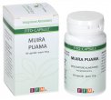 Muira Puama - Capsule