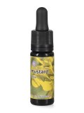 Mustard - Dose
