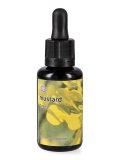 Mustard - Dose