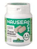 NauseaGum