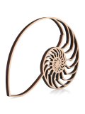 Nautilus, Spirale Aurea - Decorazione Traforata in Legno Betulla