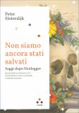 Non Siamo ancora Stati Salvati — Libro