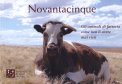 Novantacinque  — Libro