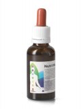 Nutri Mentis - Iper