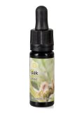 Oak - Dose