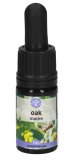 Oak - Soluzione Madre
