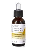 Oleolito di Elicriso