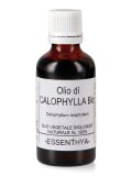 Olio di Calophylla Bio