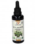 Olio di Chaulmoogra
