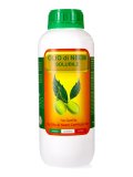 Olio di Neem Solubile Fitokem