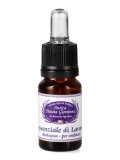 Olio Essenziale di Lavanda