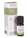 Olio Essenziale di Litsea Cubeba Bio