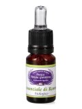 Olio Essenziale di Rosmarino