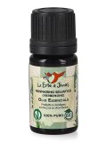 Olio Essenziale di Rosmarino Selvatico Bio