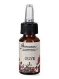 Olive - Fiori di Bach