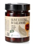 Olive Leccino in Salamoia Bio