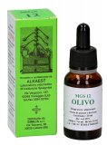 Olivo - MGS 12  Soluzione Idrogliceralcolica