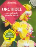 Orchidee — Libro