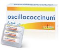 Oscillococcinum® Globuli 6 Dosi