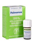 Palmarosa - Olio Essenziale Bio