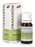 Palmarosa - Olio Essenziale Bio
