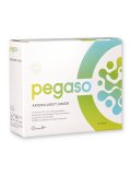Pegaso® - Axiboulardi Junior