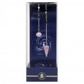 Pendolo Premium Chakra