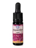 Peppermint - Fiori californiani - Dose