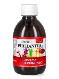 Phillantus Baby
