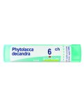 Phytolacca Decandra 6CH Granuli Boiron