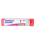 Phytolacca Decandra 7CH Granuli Boiron