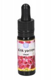Pink Yarrow - Fiori californiani