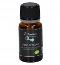 Pino Cembro - Olio Essenziale Naturale Bio