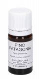 Pino della Patagonia - Olio Essenziale Puro - 5 ml