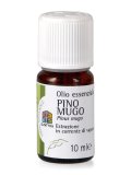 Pino Mugo - Olio Essenziale