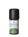 Pino Mugo - Olio Essenziale